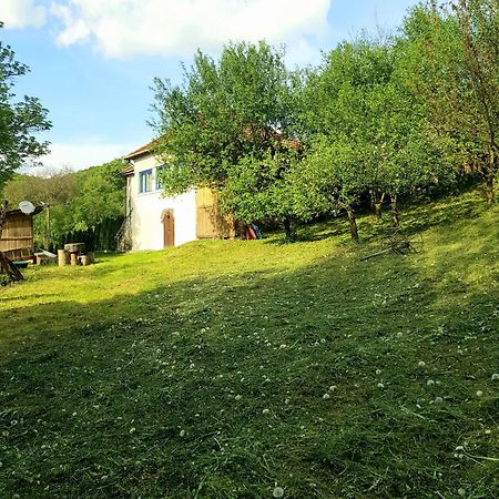 Вилла Casa La Casiru 17 Straja  Экстерьер фото