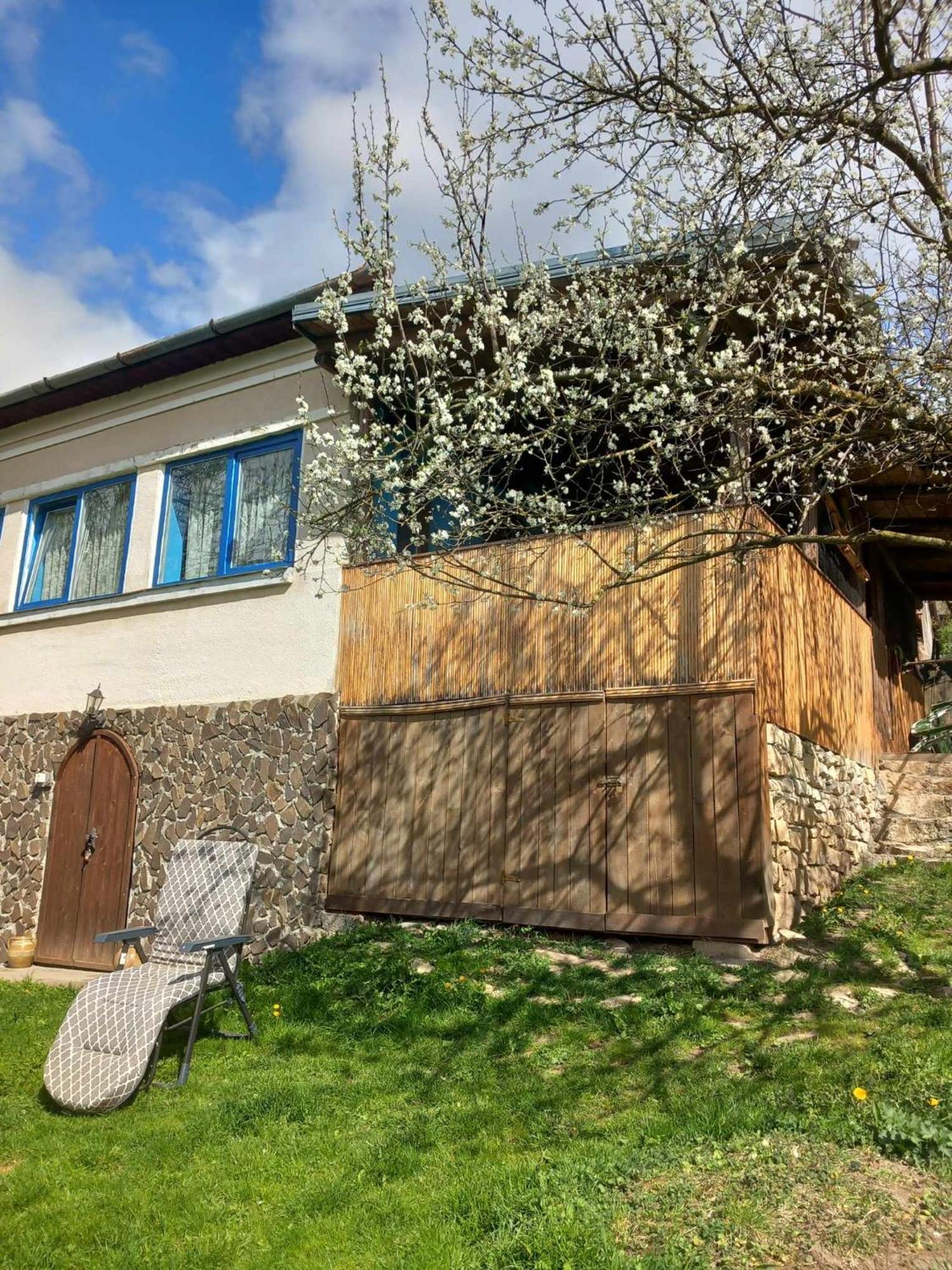 Вилла Casa La Casiru 17 Straja  Экстерьер фото